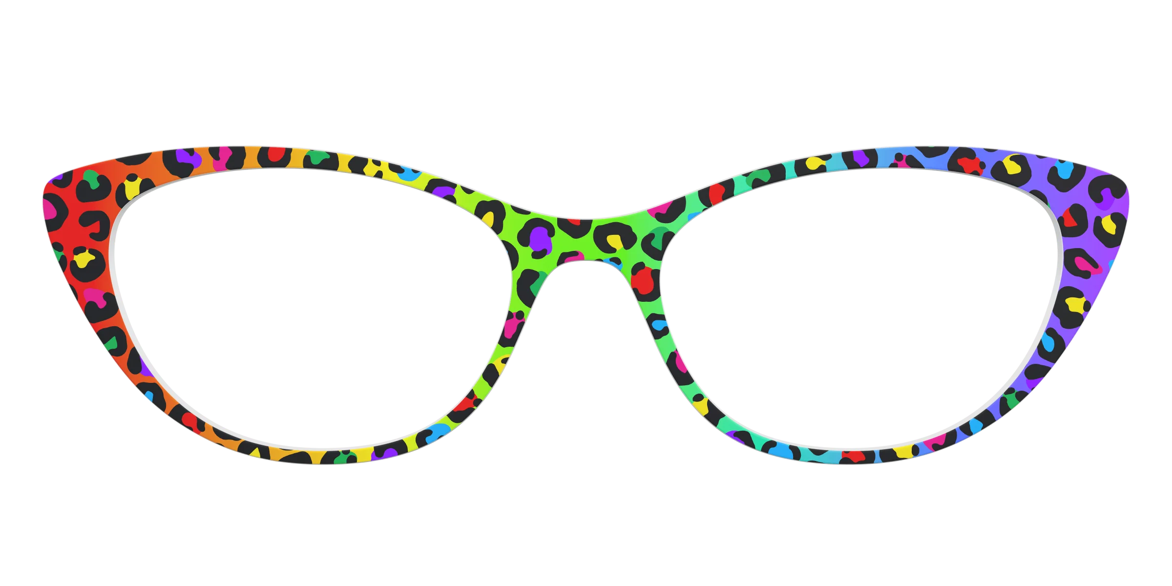 The Rainbow Cheetah - Image 23